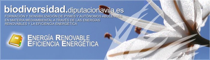 Formación y Sensibilización de PYMES y Autónomos Abulenses en materia medioambiental a través de las Energías Renovables y la Eficiencia Energética