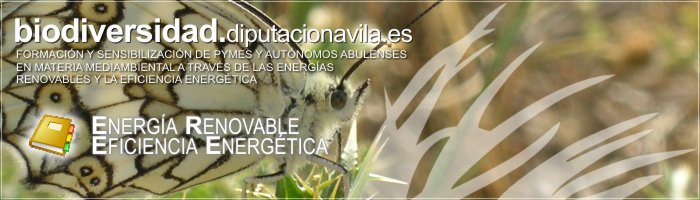 Formación y Sensibilización de PYMES y Autónomos Abulenses en materia medioambiental a través de las Energías Renovables y la Eficiencia Energética