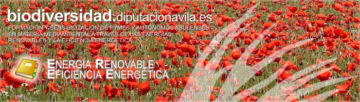 Formación y Sensibilización de PYMES y Autónomos Abulenses en materia medioambiental a través de las Energías Renovables y la Eficiencia Energética