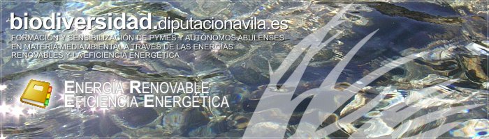 Formación y Sensibilización de PYMES y Autónomos Abulenses en materia medioambiental a través de las Energías Renovables y la Eficiencia Energética