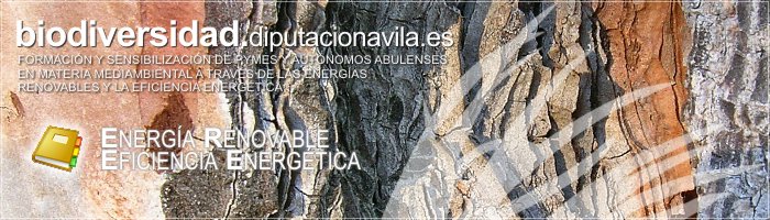 Formaci&oacute;n y Sensibilizaci&oacute;n de PYMES y Aut&oacute;nomos Abulenses en materia medioambiental a trav&eacute;s de las Energ&iacute;as Renovables y la Eficiencia Energ&eacute;tica