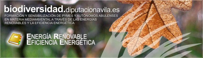 Formaci&oacute;n y Sensibilizaci&oacute;n de PYMES y Aut&oacute;nomos Abulenses en materia medioambiental a trav&eacute;s de las Energ&iacute;as Renovables y la Eficiencia Energ&eacute;tica