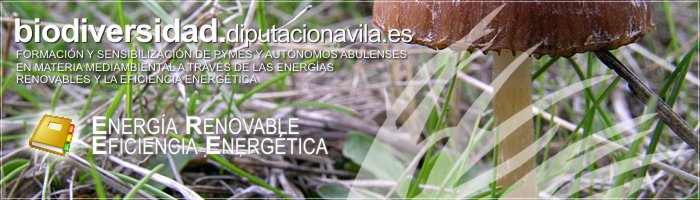 Formación y Sensibilización de PYMES y Autónomos Abulenses en materia medioambiental a través de las Energías Renovables y la Eficiencia Energética