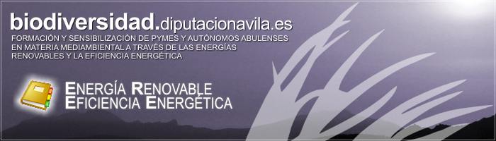 Formación y Sensibilización de PYMES y Autónomos Abulenses en materia medioambiental a través de las Energías Renovables y la Eficiencia Energética