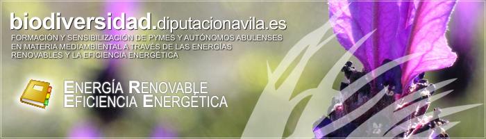 Formación y Sensibilización de PYMES y Autónomos Abulenses en materia medioambiental a través de las Energías Renovables y la Eficiencia Energética
