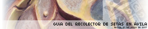 Guía del Recolector de Setas en Ávila